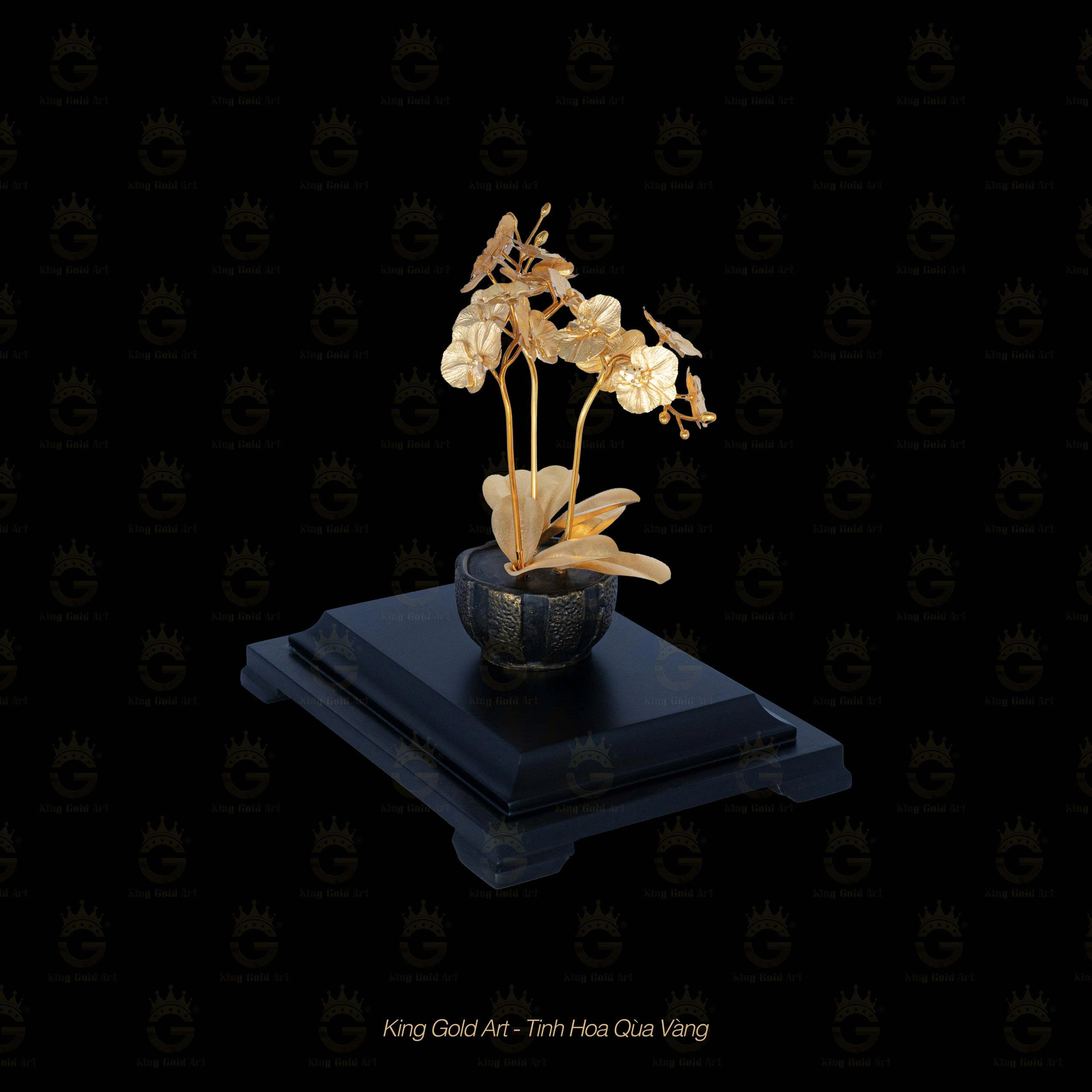 Bình Hoa Lan để bàn mini quà tặng ý nghĩa