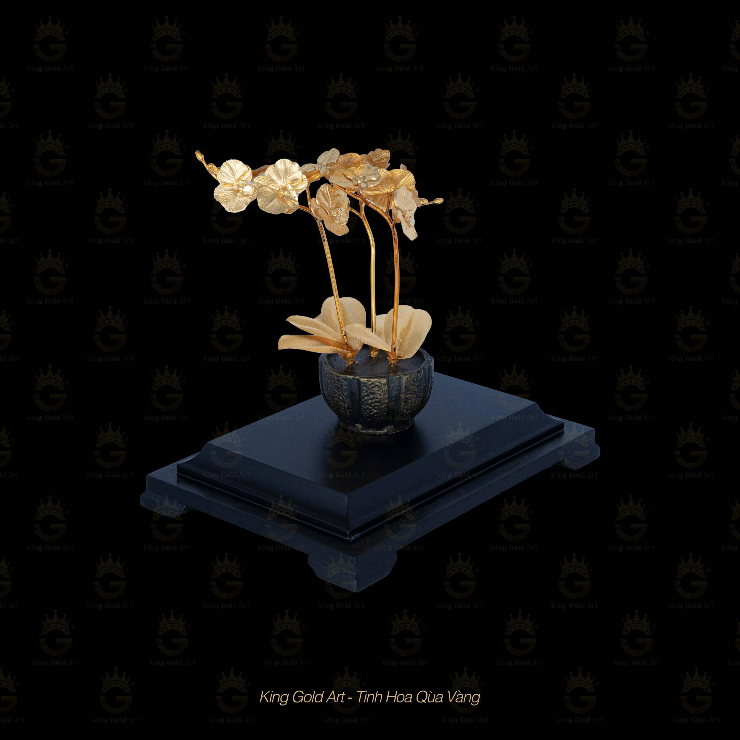 Bình Hoa Lan để bàn mini quà tặng ý nghĩa