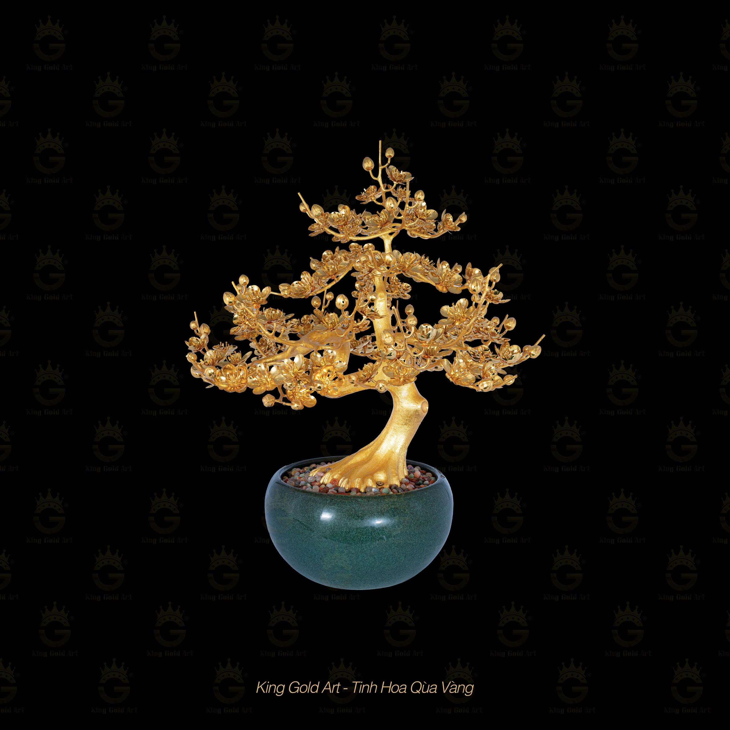 Cây Mai Vàng Đại Phúc MS 2