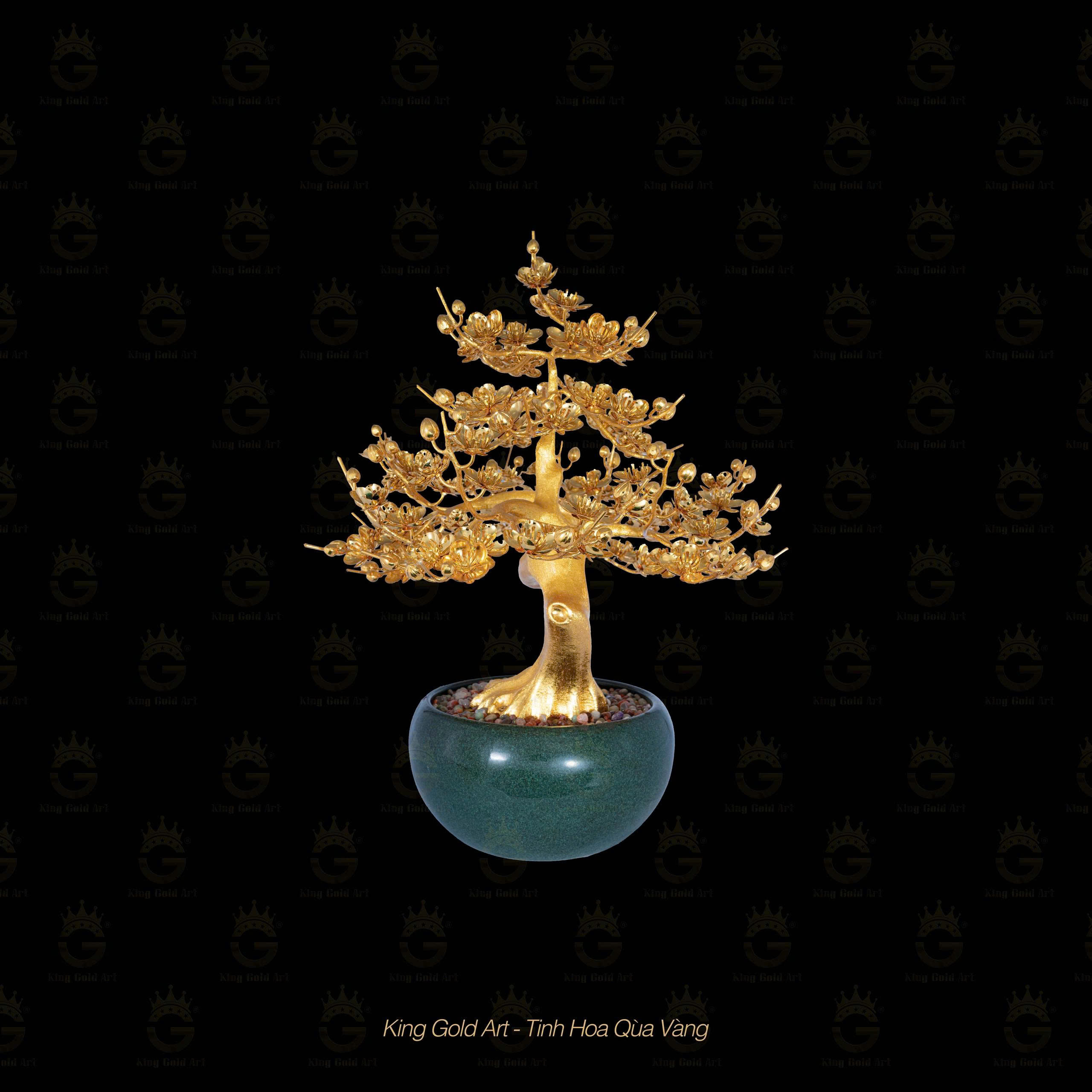 Cây Mai Vàng Đại Phúc MS 2