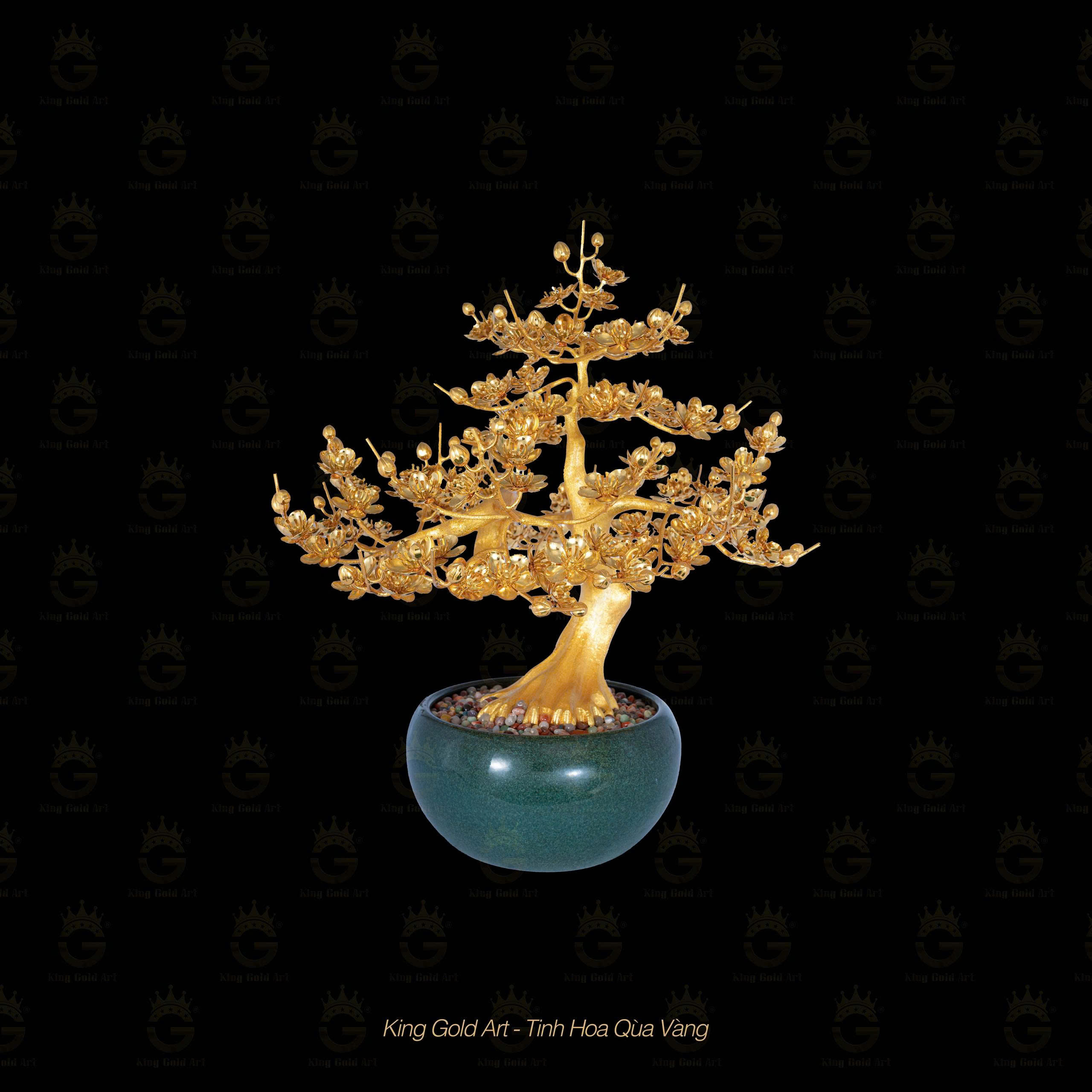 Cây Mai Vàng Đại Phúc MS 2