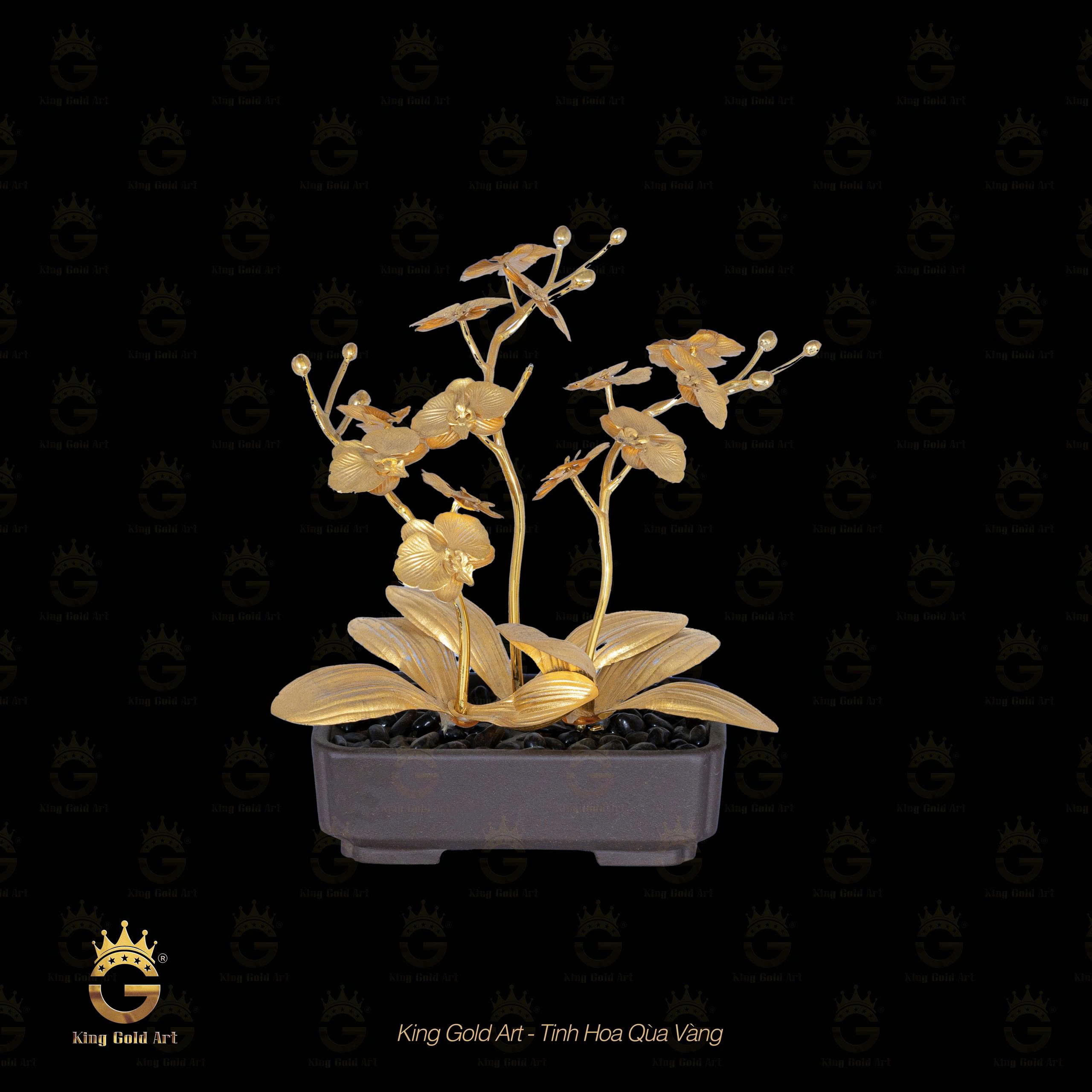 Bình Hoa Lan để bàn - quà tặng phong thủy