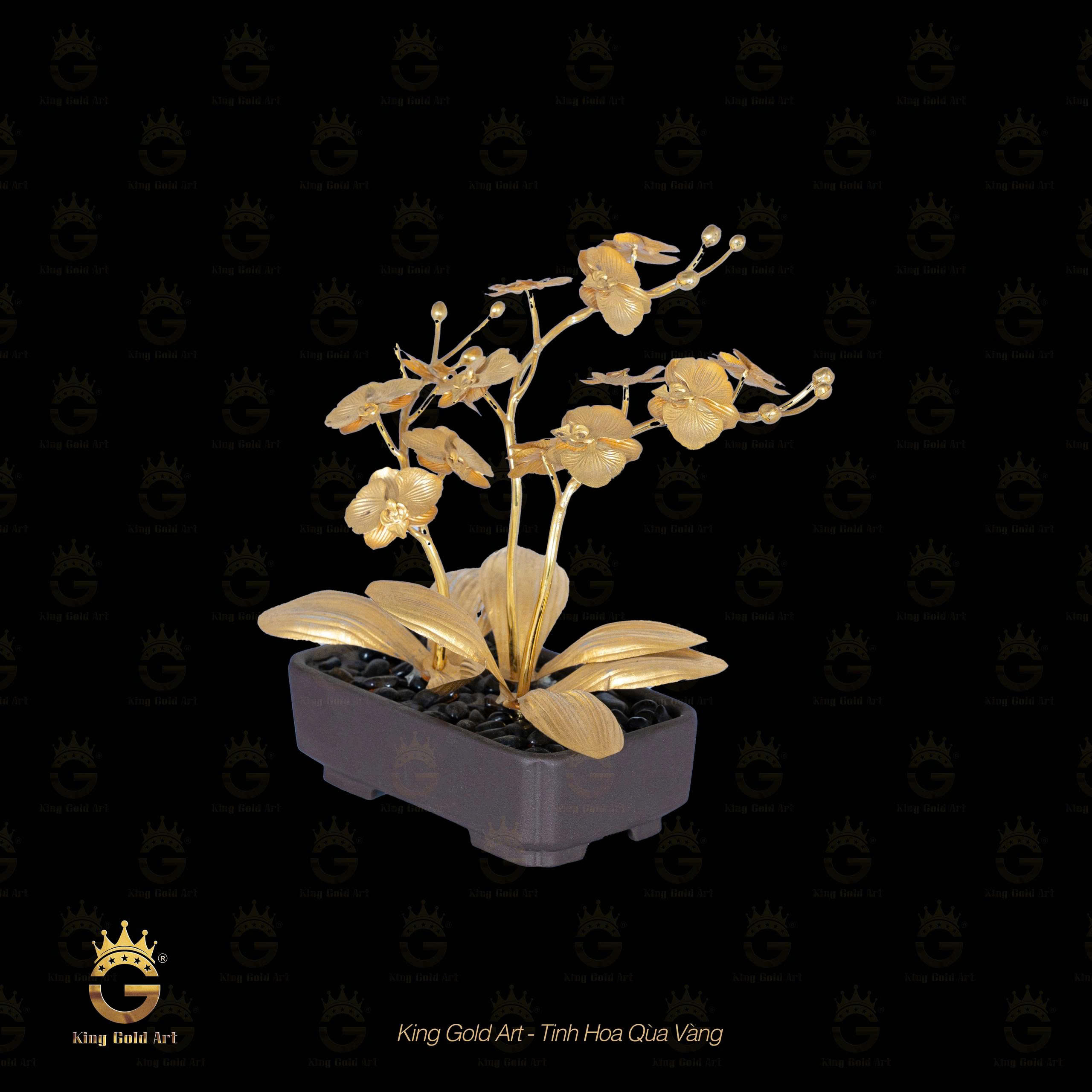 Bình Hoa Lan để bàn - quà tặng phong thủy