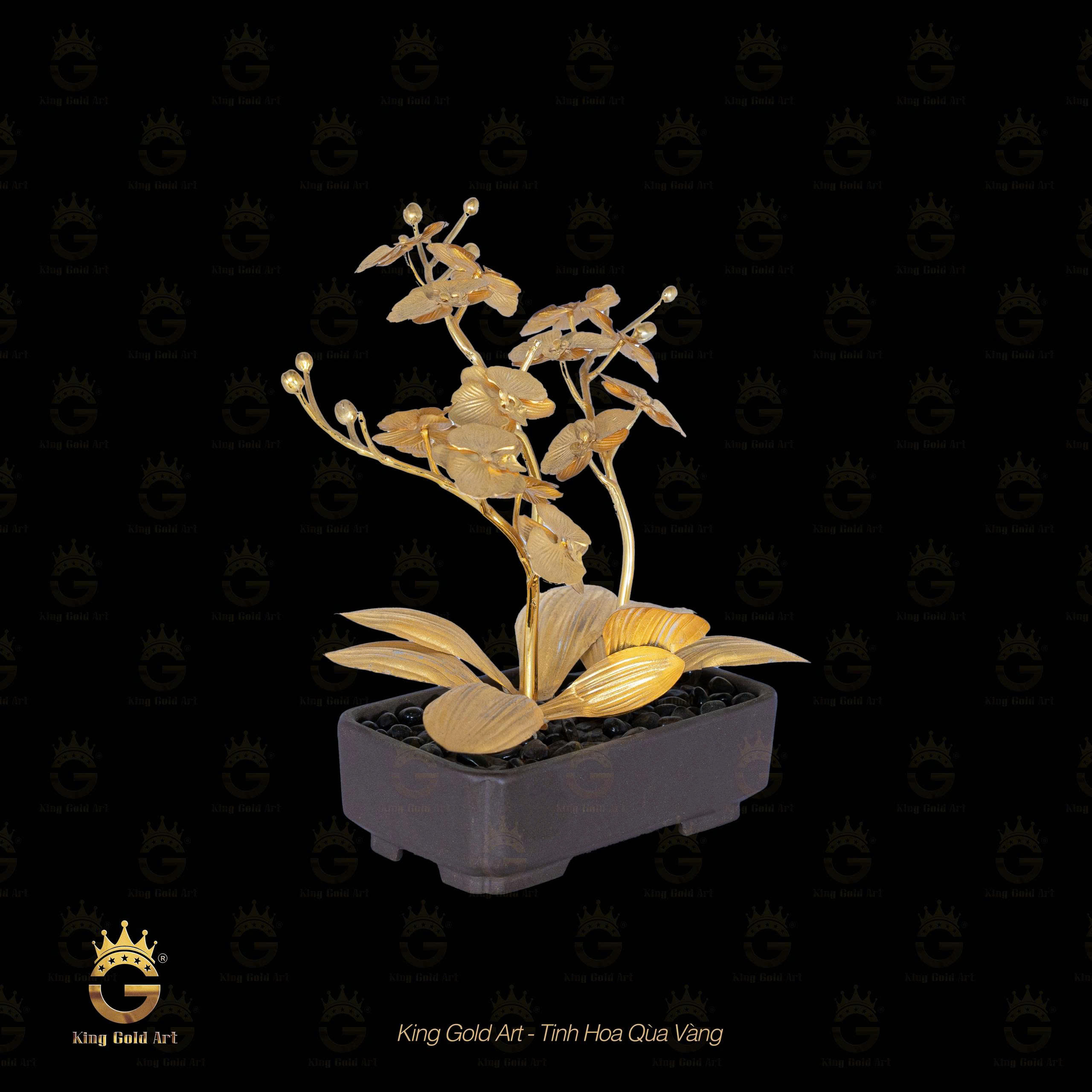 Bình Hoa Lan để bàn - quà tặng phong thủy