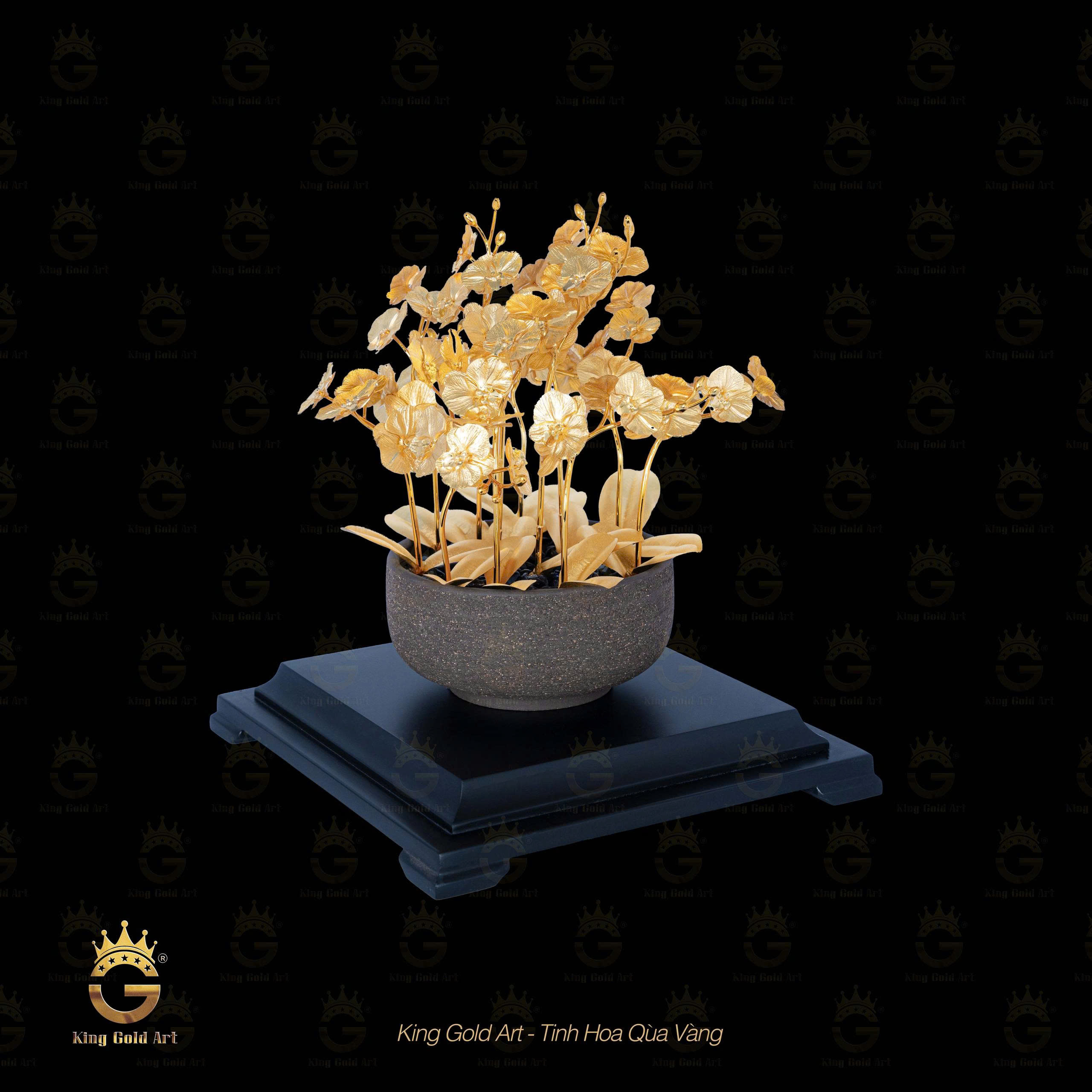 Chậu lan hồ điệp dát vàng 24k