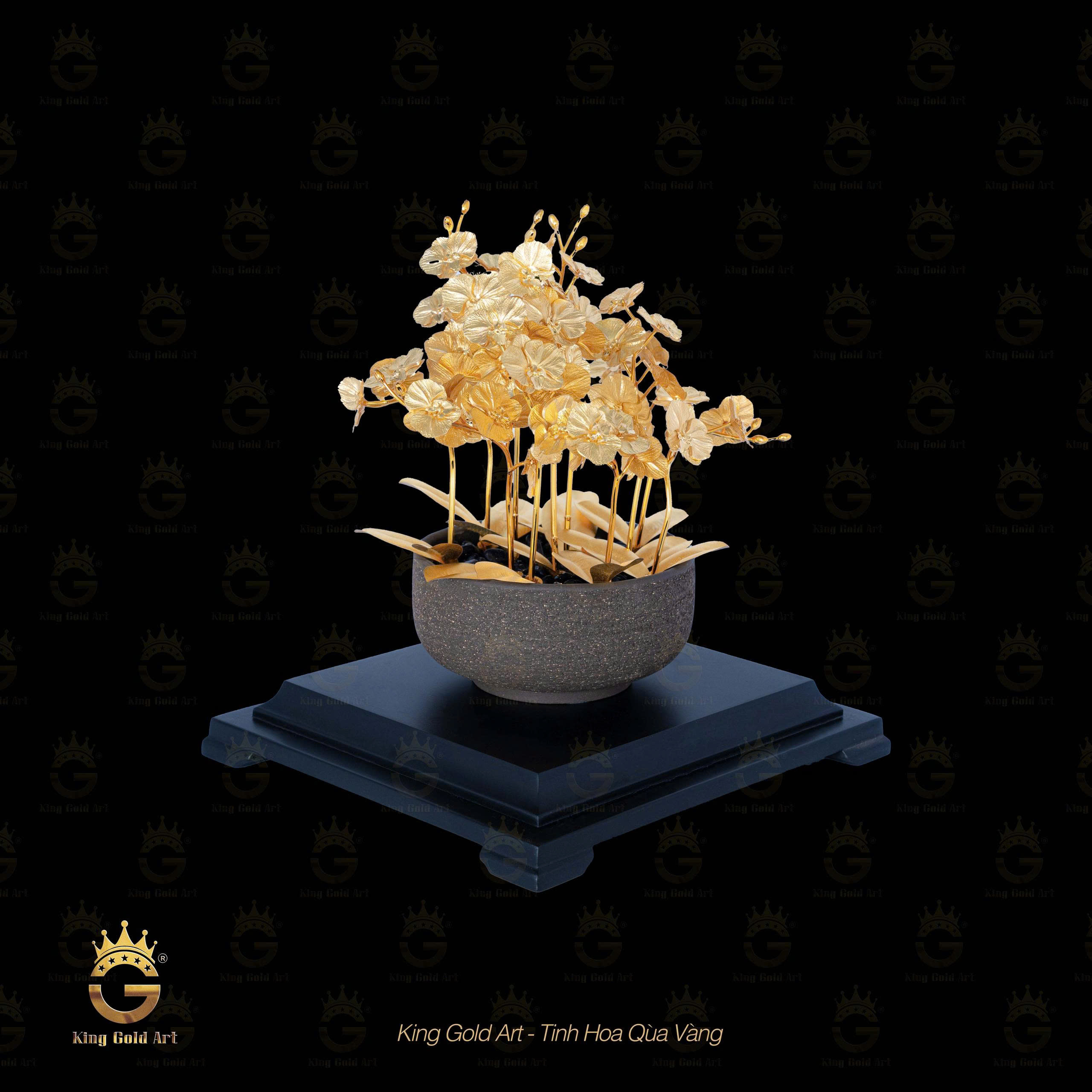 Chậu lan hồ điệp dát vàng 24k