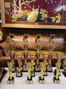 Chế Tác Cúp Vinh Danh Cao Cấp: Cúp Vàng, Bạc, Đồng Độc Bản