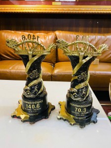 Cúp Ironman Mạ Vàng: Biểu Tượng Ý Chí Thép & Vinh Quang Độc Bản