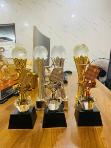 Cúp Pickleball King Gold Art – Biểu tượng chiến thắng đẳng cấp