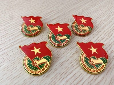 huy hiệu Đảng bằng đồng, huy hiệu đại hội Đảng Bộ, huy hiệu gài áo mạ vàng 14k, 18k, 24k