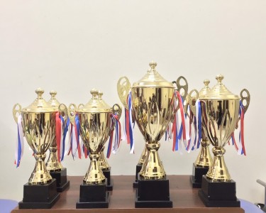 Cúp Mạ Vàng: Biểu Tượng Thành Công Trong Sự Kiện