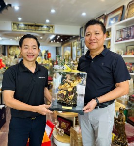 Lan Hồ Điệp Mạ Vàng: Bí Quyết Chọn Quà Sang, Làm Hài Lòng Mọi Người Nhận