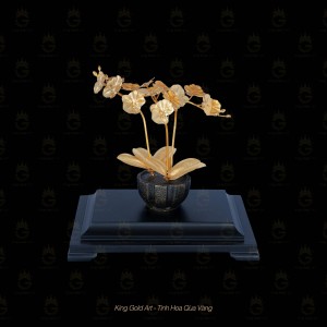 Bình Hoa Lan để bàn mini quà tặng ý nghĩa