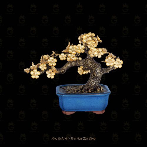 Quà Tặng Tết 2025 Bonsai Mai Vàng