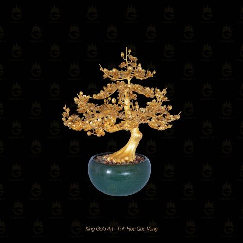 Cây Mai Vàng Đại Phúc MS 2