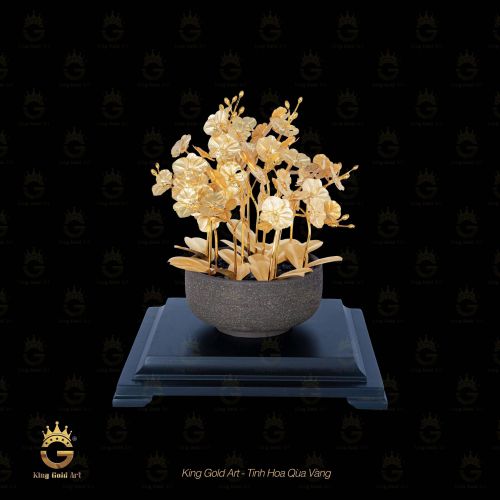Chậu lan hồ điệp dát vàng 24k